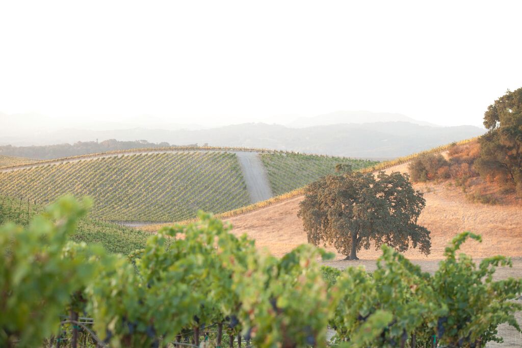 A Taste of Harvest with Booker Wines' Eric Jensen | US – Coravin US