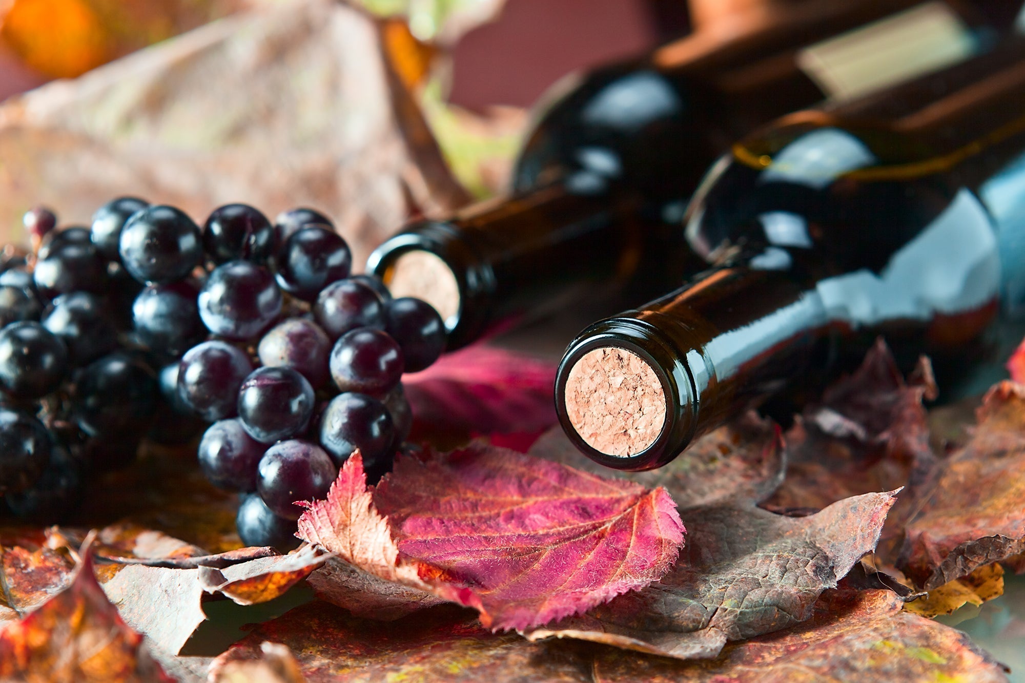 How to Store Cabernet Sauvignon – Coravin US