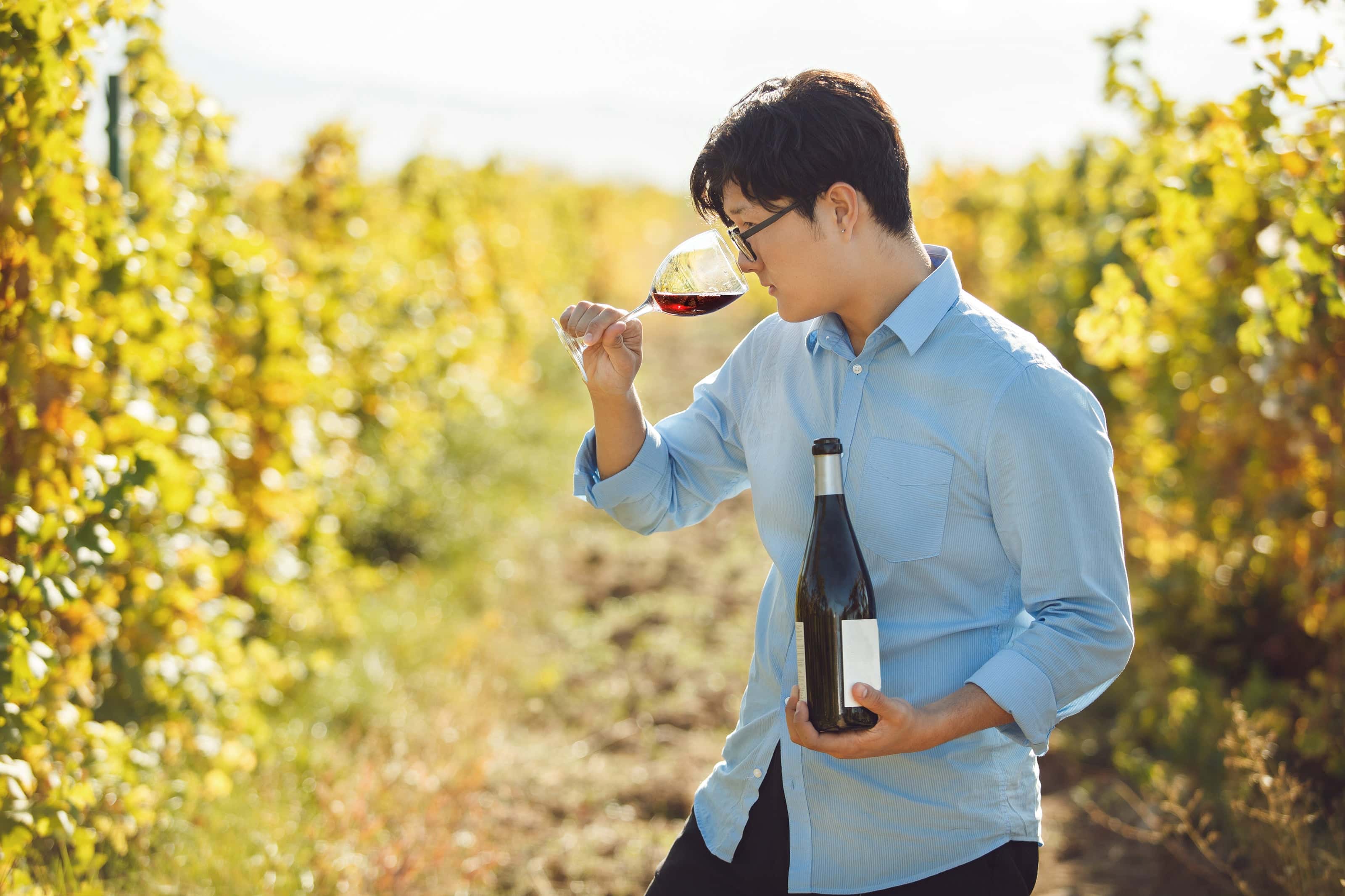 Wine tasting in the vineyard