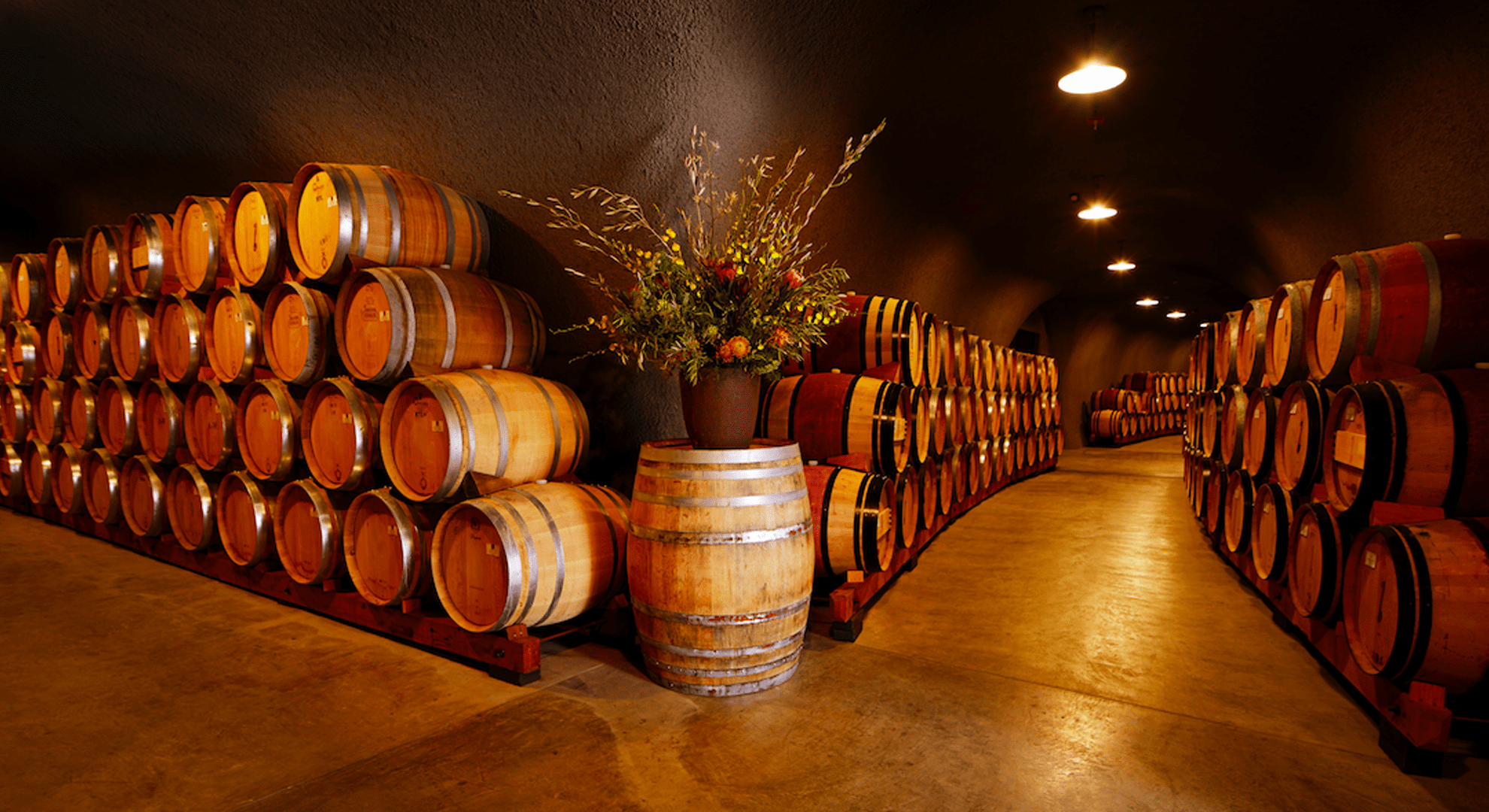 Cellar of Wines
