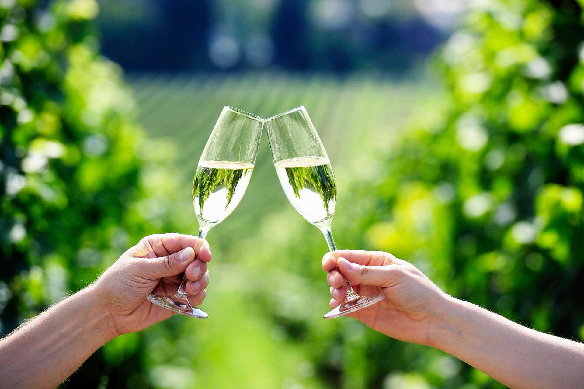 Glasses of Wine