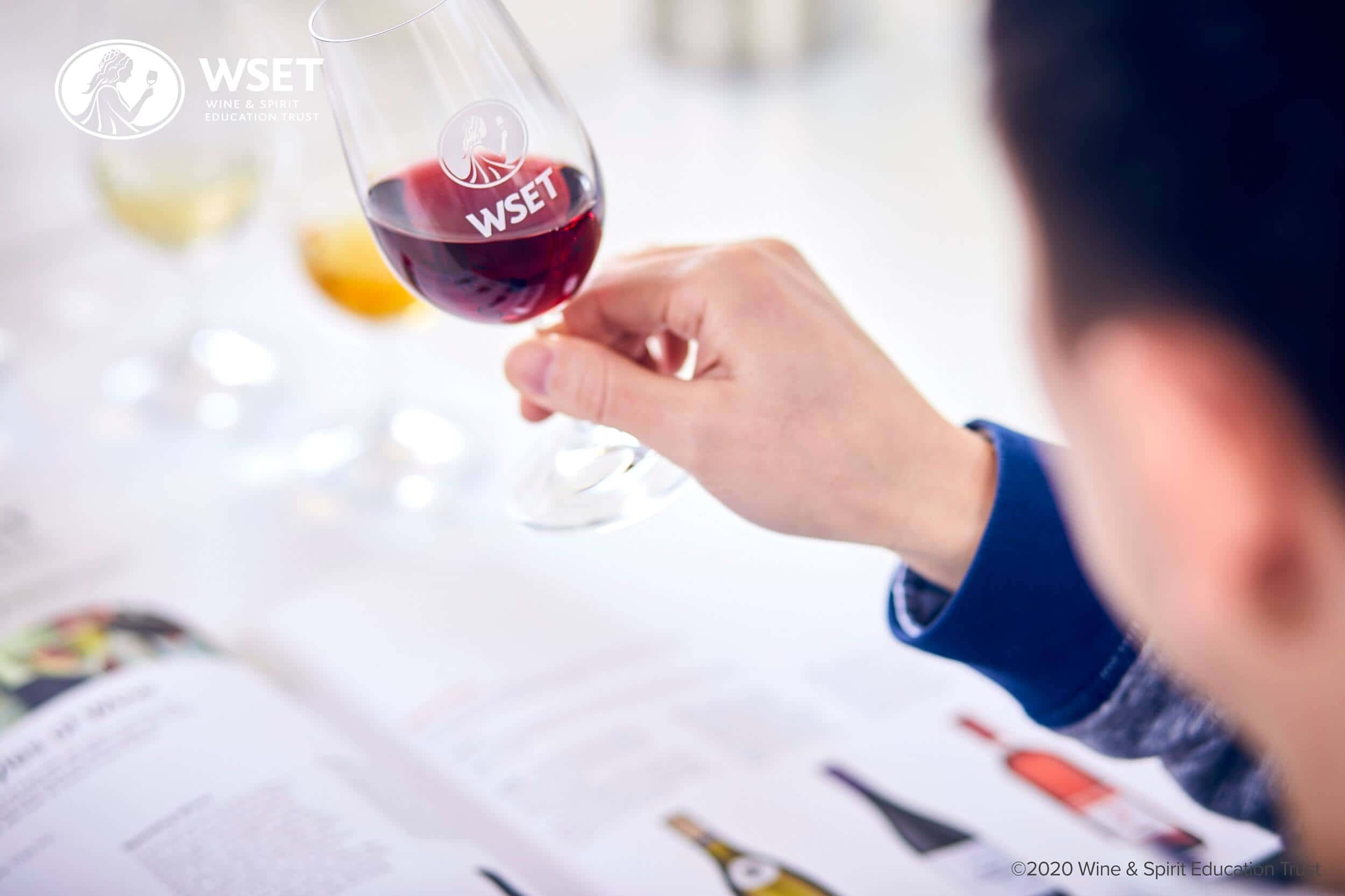 Glass of red wine being studied over a WSET workbook