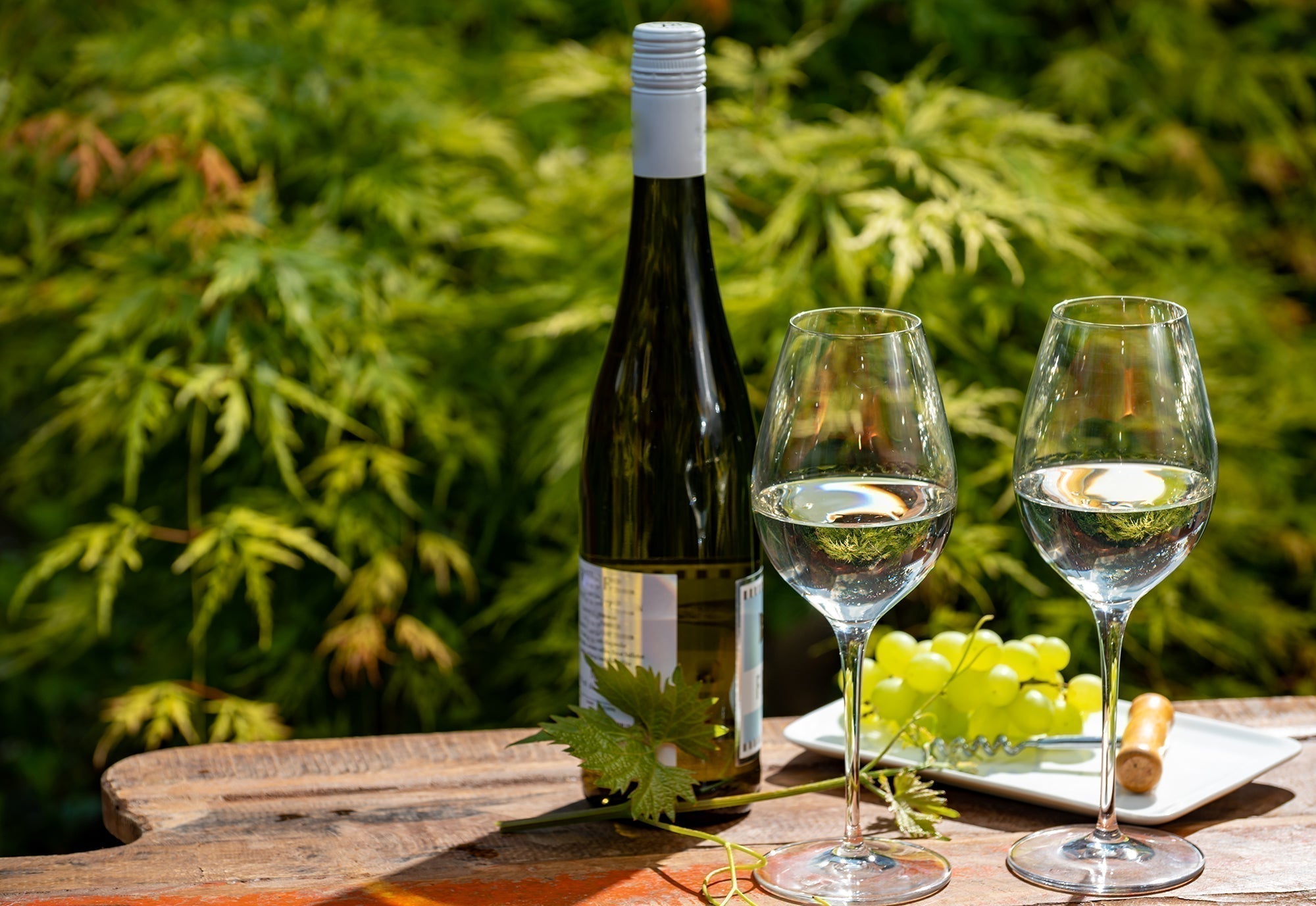 Sauvignon Blanc: Everything You Need to Know – Coravin US