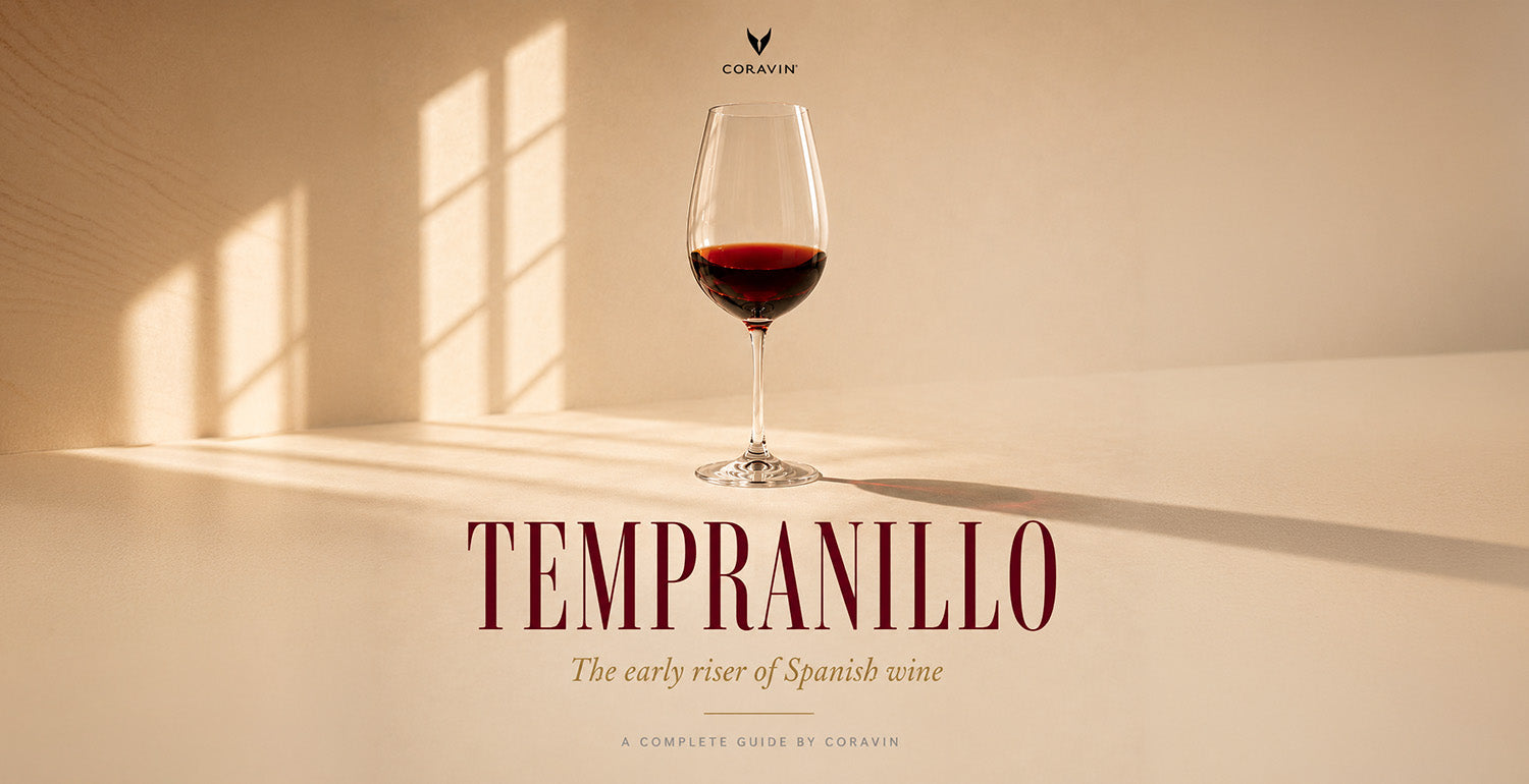 Tempranillo Guide: 7 Key Things You Need to Know